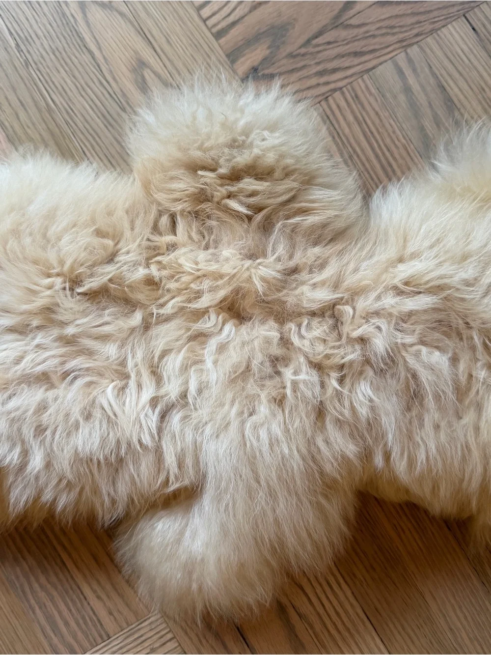 Vintage 1970s Llama Fur Cream Teddy Bear - Kids Accessories